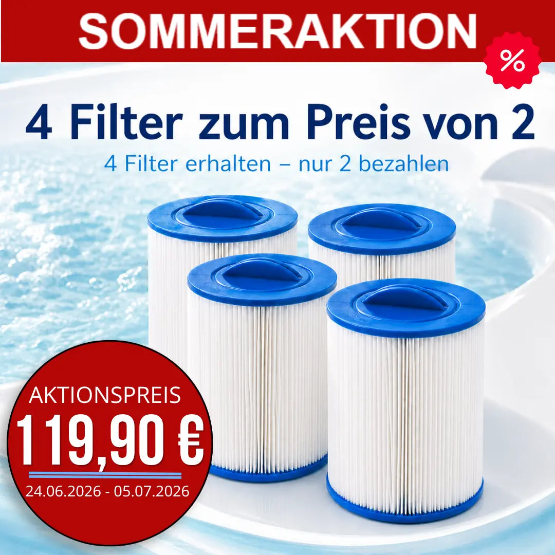 AKTION Filterset: 4 Kartuschenfilter zum Preis von 2! (Typ 205) - bis 05.07.26