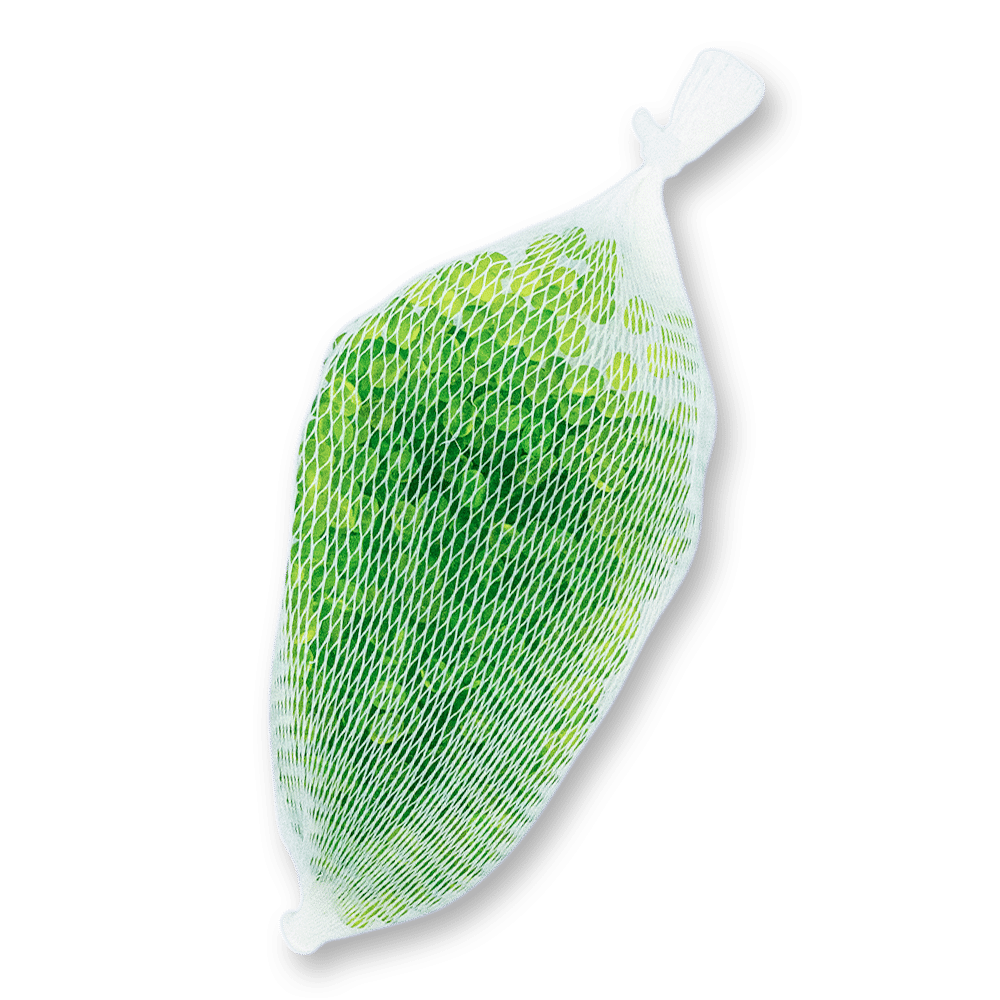 Aromatherapie Duftperlen Eukalyptus